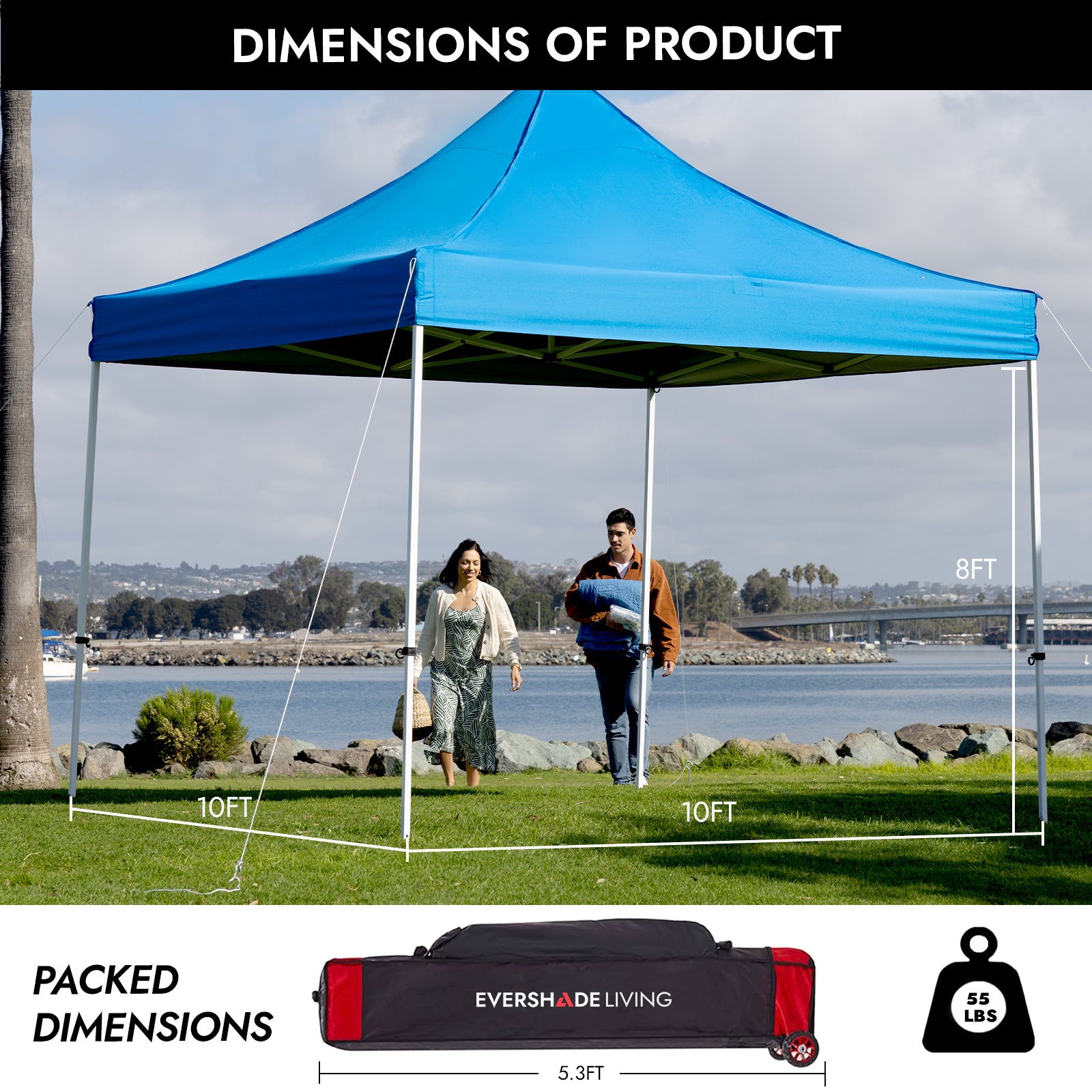 10 ft. x 10 ft. Heavy-Duty Straight-Leg Pop-Up Canopy